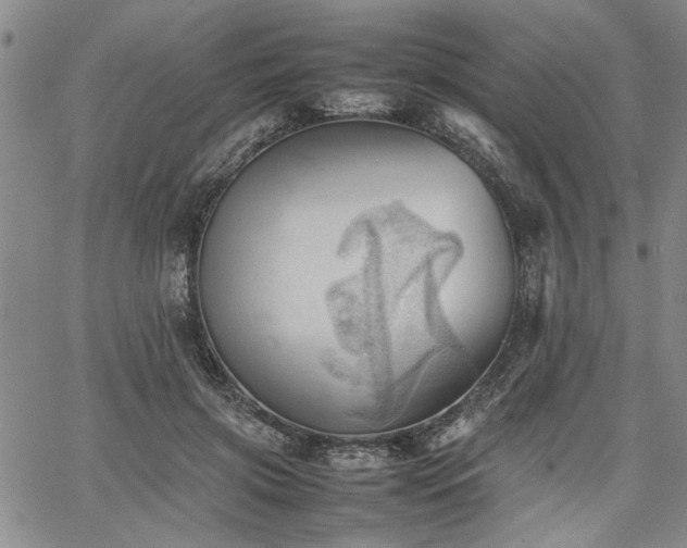 X0000067520549200604071324