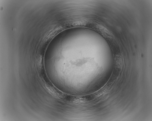 X0000067520550200604071324