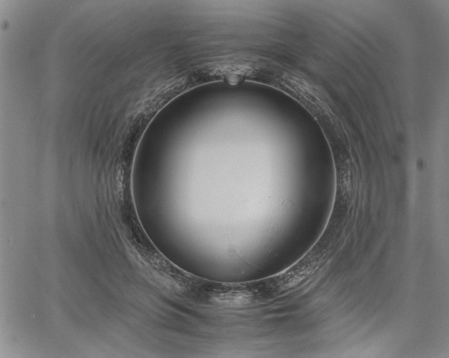 X0000067520551200604071324