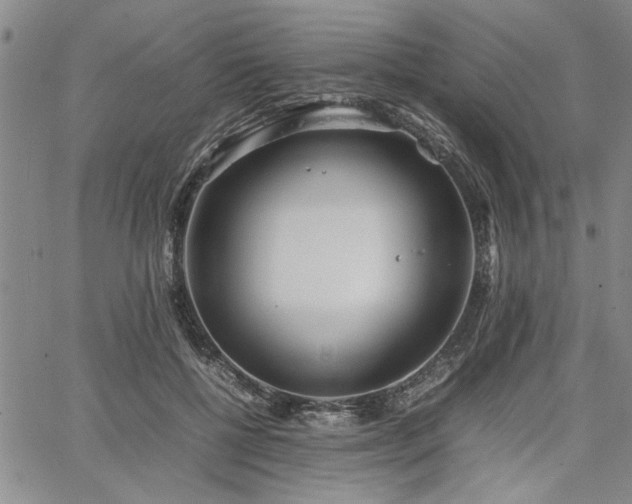 X0000067520552200604071324