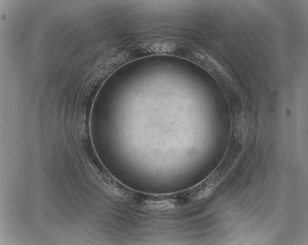 X0000067520553200604071324