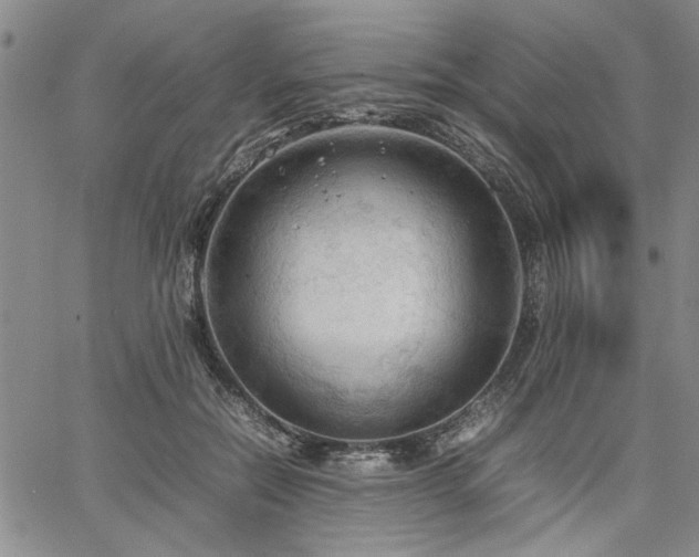 X0000067520554200604071324