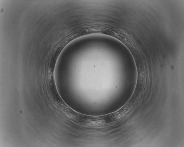 X0000067520555200604071324