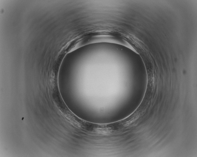 X0000067520556200604071324