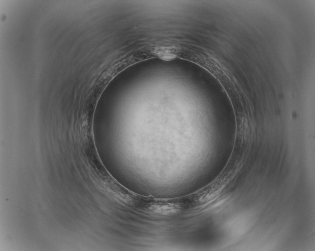 X0000067520557200604071324