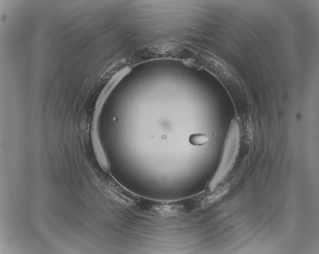 X0000067520558200604071324