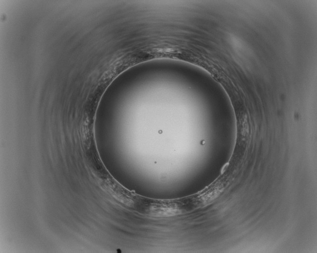 X0000067520559200604071324