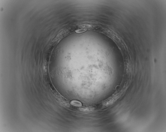 X0000067520561200604071324