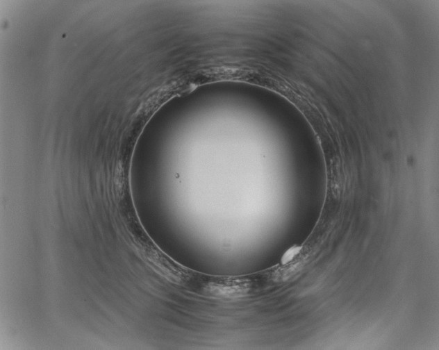 X0000067520563200604071324