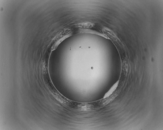 X0000067520564200604071324