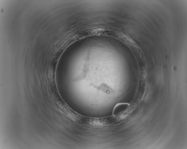 X0000067520565200604071324