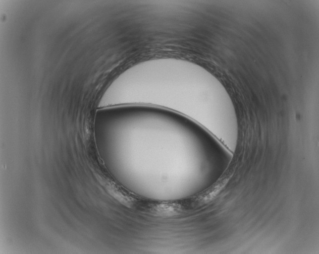 X0000067520566200604071324