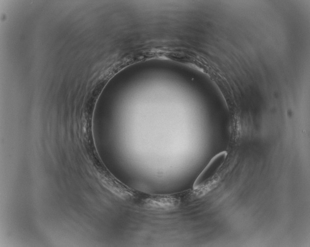 X0000067520567200604071324