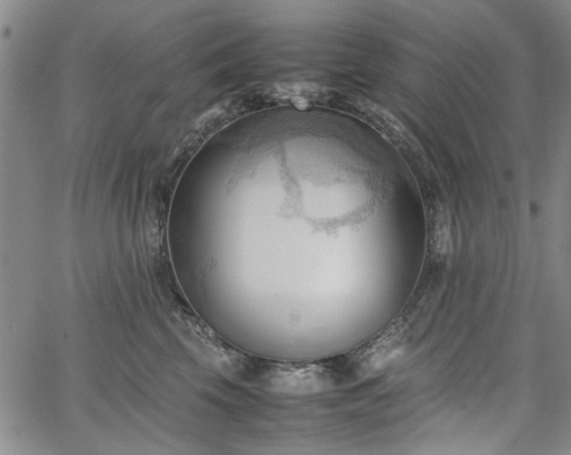 X0000067520569200604071324