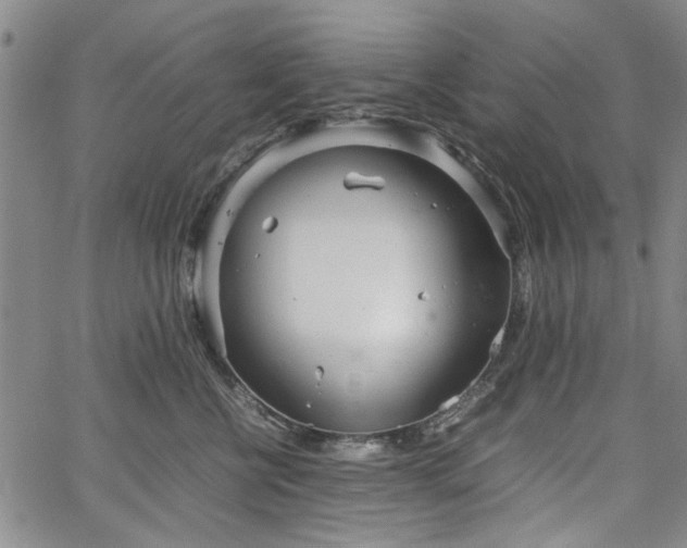 X0000067520570200604071324