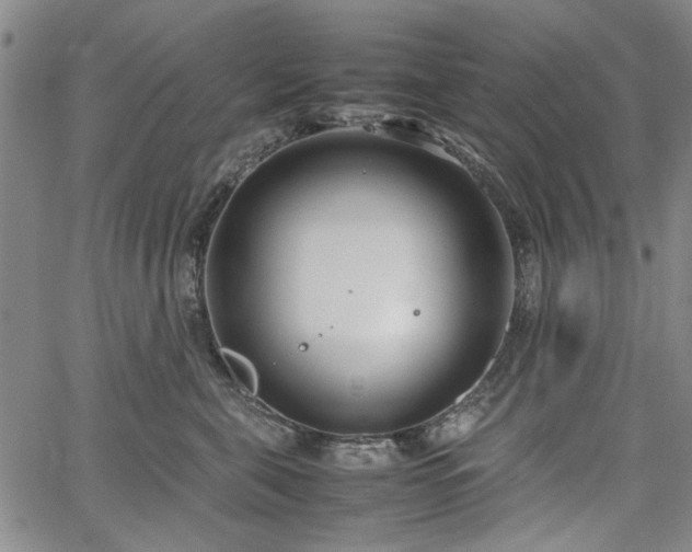 X0000067520571200604071324