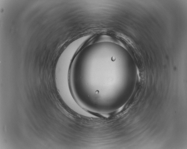 X0000067520572200604071324