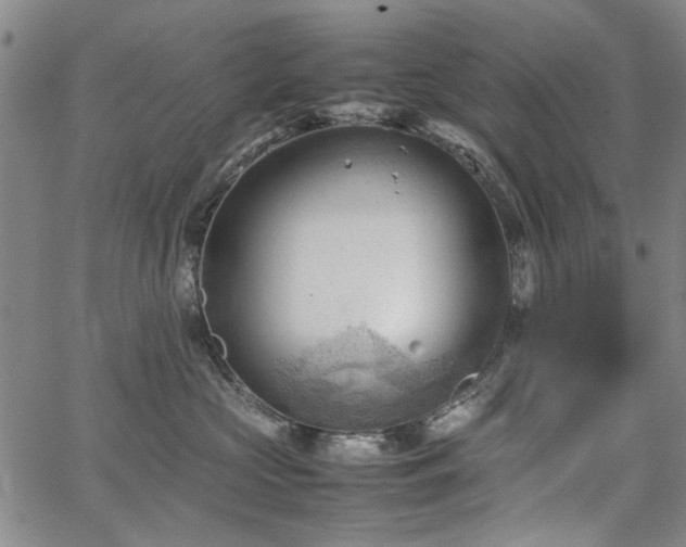 X0000067520573200604071324