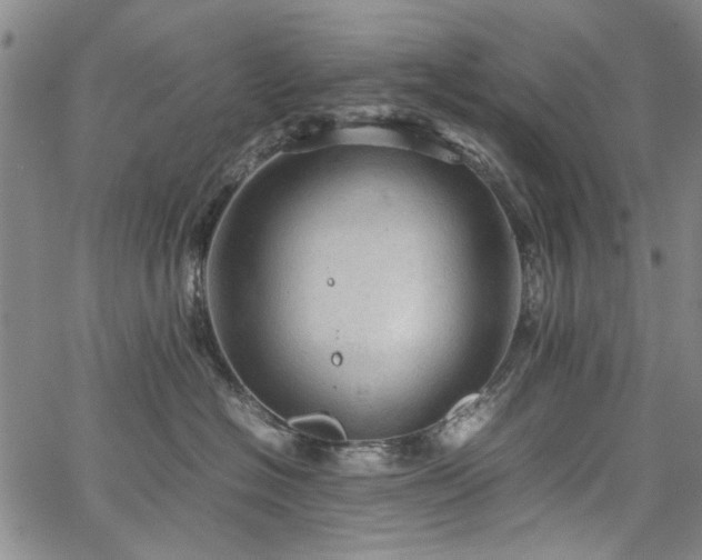 X0000067520574200604071324