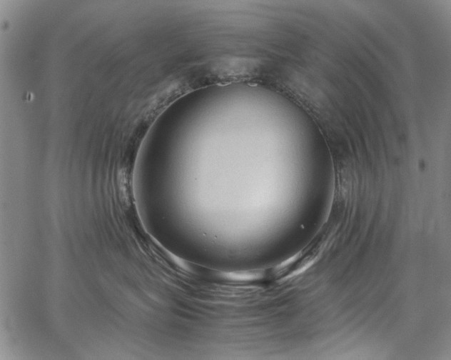 X0000067520575200604071324