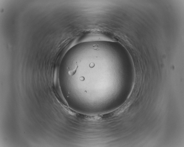 X0000067520576200604071324