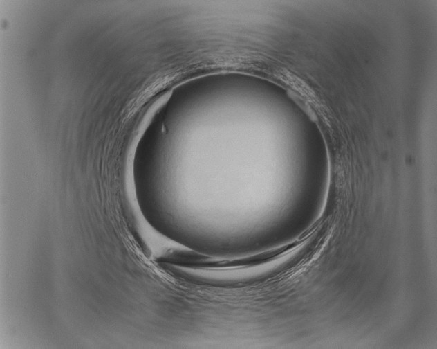 X0000067520577200604071323