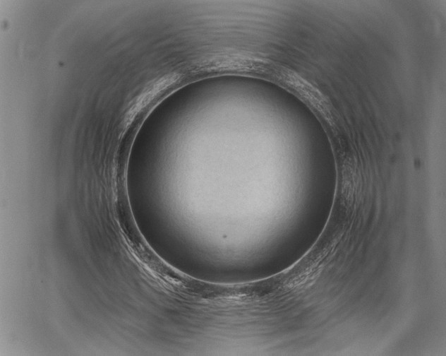 X0000067520578200604071323