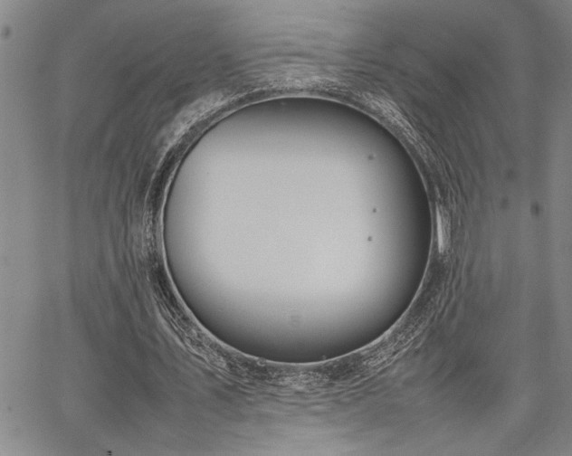 X0000067520579200604071323