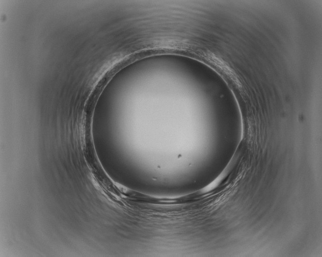 X0000067520580200604071323