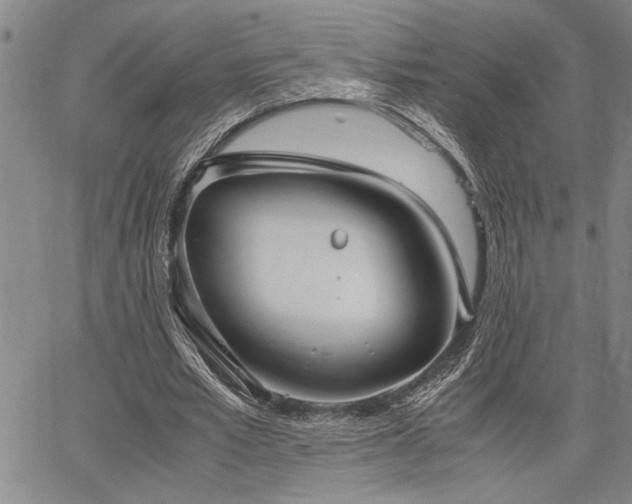 X0000067520581200604071323