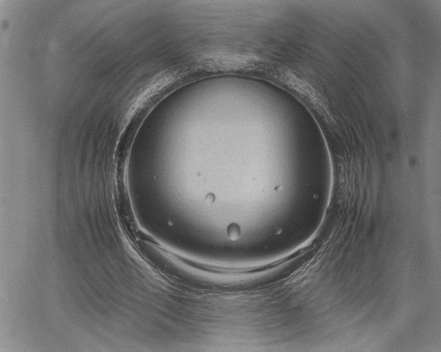 X0000067520582200604071323