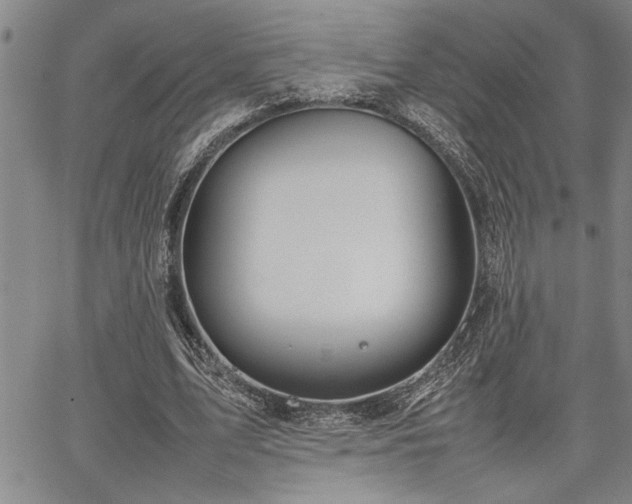 X0000067520583200604071323