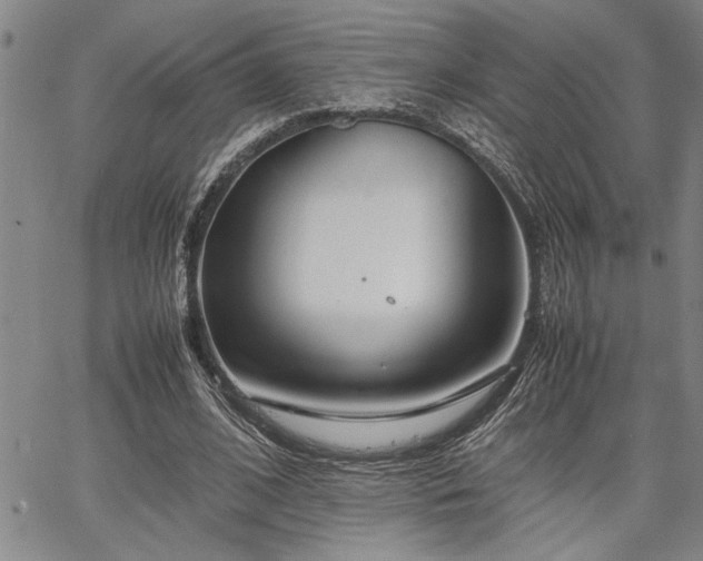 X0000067520584200604071323