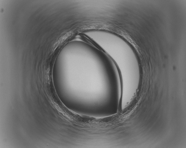 X0000067520585200604071323