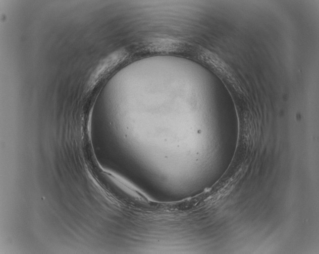 X0000067520586200604071323