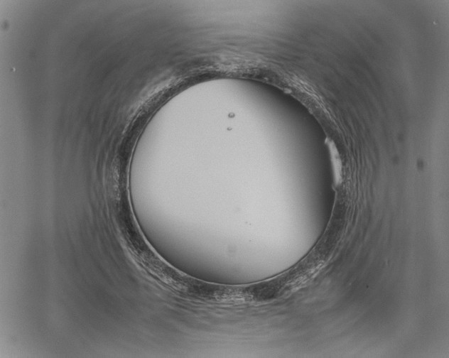 X0000067520587200604071323