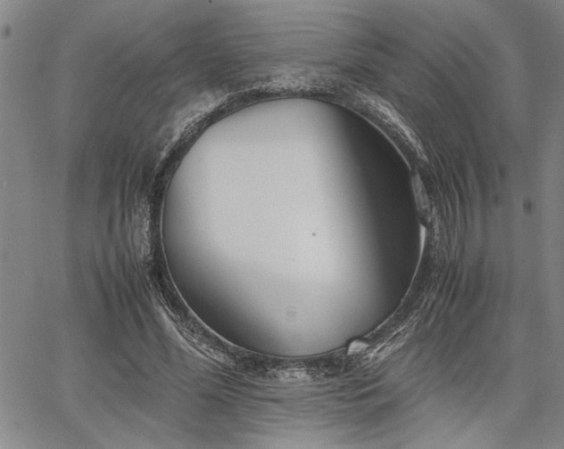 X0000067520588200604071323