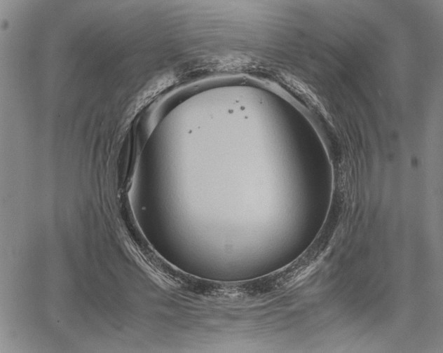 X0000067520589200604071323