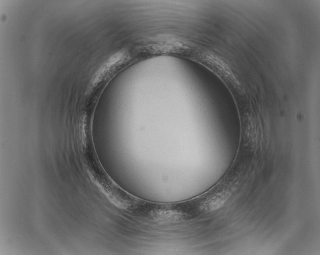 X0000067520590200604071323