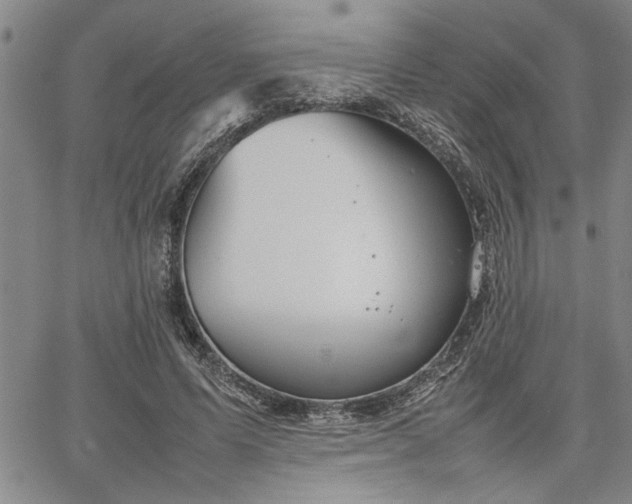 X0000067520591200604071323