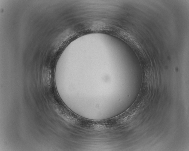 X0000067520592200604071323