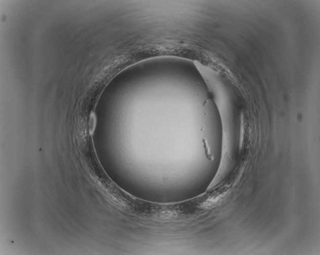 X0000067520593200604071323