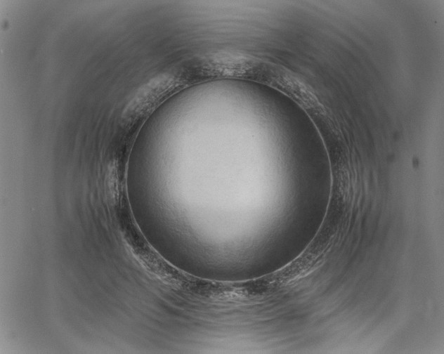 X0000067520594200604071323