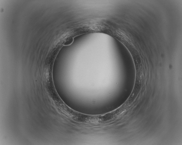 X0000067520595200604071323