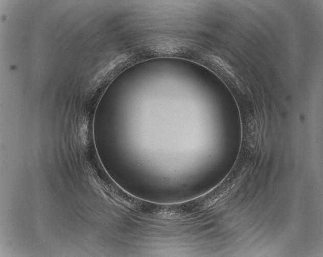 X0000067520596200604071323