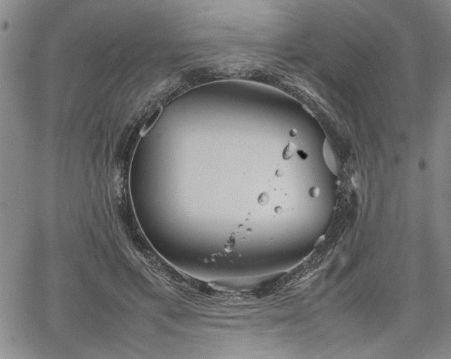 X0000067520597200604071323