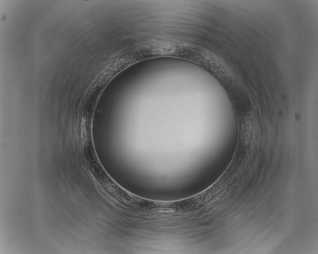 X0000067520598200604071323