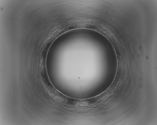 X0000067520599200604071323