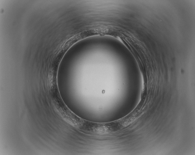 X0000067520600200604071323