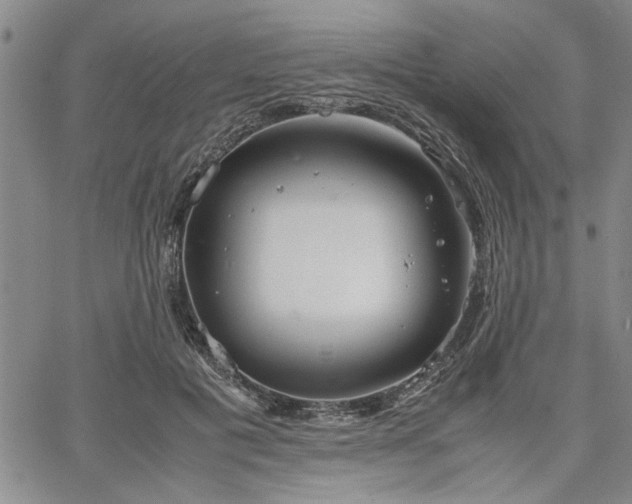 X0000067520601200604071323